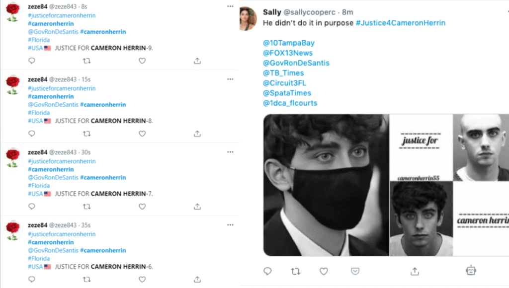 Cameron Herrin social media Support